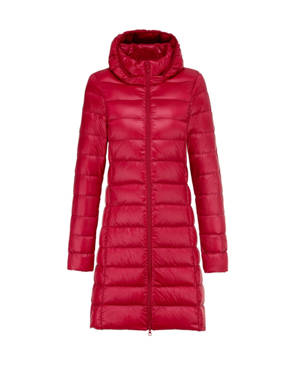 Autumn | Women's Solid Colour Full-Zip Hooded Lightweight Padded Winter Coat